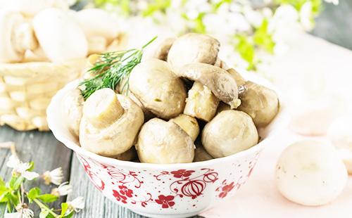 Шампионки в купа