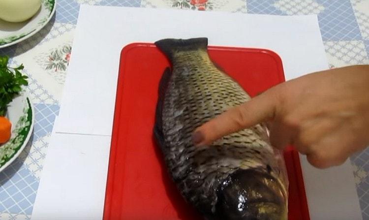Шаран изкормен и почистен.