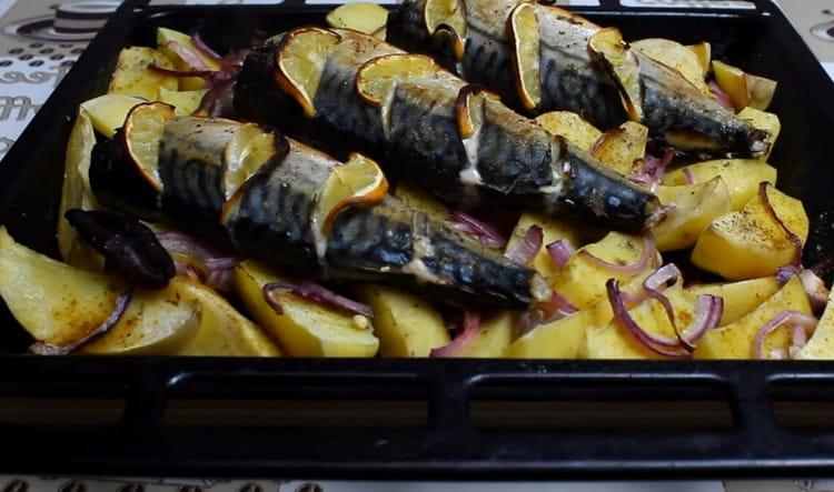 Скумрия във фурната с картофи, приготвена по тази рецепта, е прекрасно пълноценно ястие.
