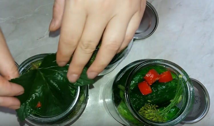 Добавете листата на касис отгоре.