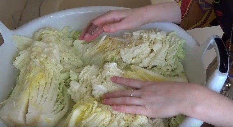 Поставете осоленото зеле в купа.