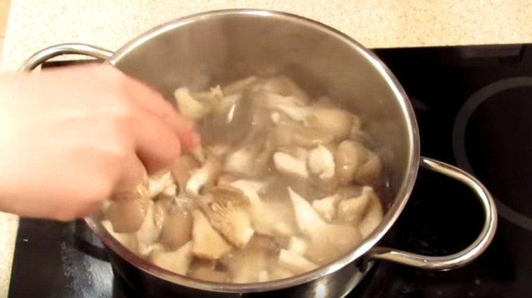 Разпределяме гъби в марината, готвим.