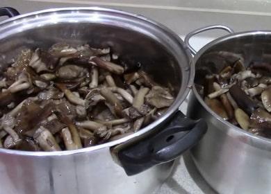 Как се готвят гъби и колко 🍄