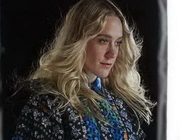 70 най-интересни снимки на известната Chloe Sevigny
